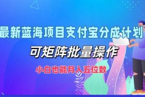 最新蓝海项目支付宝分成计划，可矩阵批量操作，小白也能月入五位数