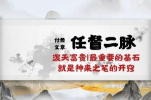 某付费文章《任督 二脉 泼天富贵|最重要的基石 就是神来之笔的开窍|万字》