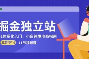 掘金独立站，0-1体系化入门，小白跨境电商指南（11节视频课）