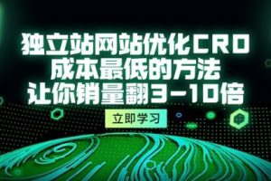 独立站网站优化CRO，成本最低的方法，让你销量翻3-10倍（5节课）