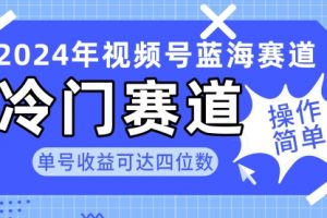 2024视频号冷门蓝海赛道，操作简单 单号收益可达四位数（教程+素材+工具）