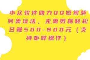 小众软件助力QQ短视频另类玩法，无需剪辑轻松日赚500-800元