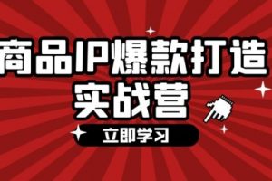 商品-IP爆款打造实战营手把手教你打造商品IP，爆款不断