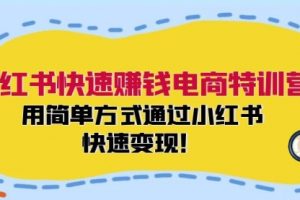 小红书快速赚钱电商特训营：用简单方式通过小红书快速变现！