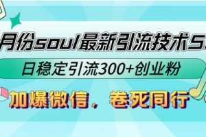 9月份soul最新引流技术5.0，日稳定引流300+创业粉