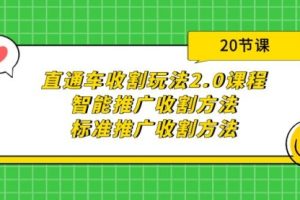 直通车收割玩法2.0课程：智能推广收割方法+标准推广收割方法（20节课）