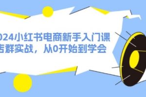 2024小红书电商新手入门课，店群实战，从0开始到学会