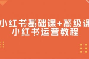 小红书基础课+高级课-小红书运营教程（53节视频课）