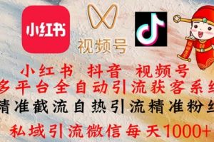 小红书，抖音，视频号多平台全自动引流获客系统