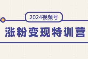 2024视频号-涨粉变现特训营：一站式打造稳定视频号涨粉变现模式