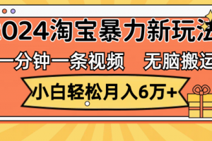 一分钟一条视频，无脑搬运，小白轻松月入6万+2024淘宝暴力新玩法，可批量