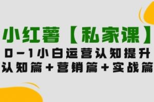 小红薯0-1玩赚小红书内容营销，认知篇+营销篇+实战篇（11节课）
