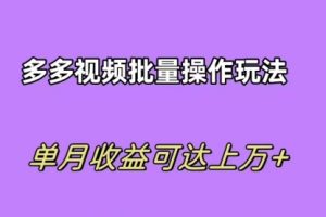 拼多多视频带货快速过爆款选品教程 每天轻轻松松赚取三位数佣金