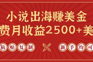 小说出海赚美金，稿费月收益2500+美金，仅需chatgpt粘贴复制