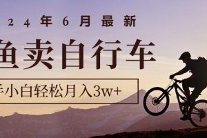 最新闲鱼卖自行车，新手小白轻松月入3w+项目