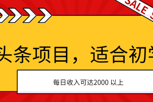 AI头条项目，适合初学者，次日开始盈利，每日收入可达2000元以上