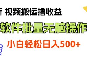 视频搬运撸收益，软件无脑批量操作，新手小白轻松上手