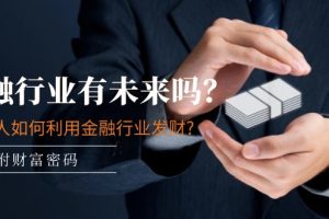 某付费文章：金融行业有未来吗？普通人如何利用金融行业发财?