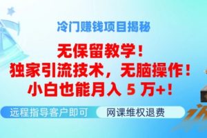 冷门赚钱项目无保留教学！独家引流技术，无脑操作
