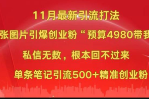 小红书最新玩法：图片引流创业粉，4980 预算开启爆粉之路