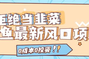 闲鱼风口项目实操手册，0投资0成本，让你做到，月入过万