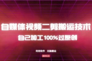 详细教你自媒体视频二剪搬运技术，自己加工100%过原创，无脑搬运