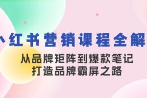 小红书营销课程全解析，从品牌矩阵到爆款笔记，打造品牌霸屏之路 [VIP]