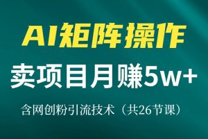 网创实战宝典：基础准备、短视频引流、转化全解析课程