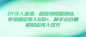 DY 无人直播稳定掘金，单号 500 + 小白月入过万攻略