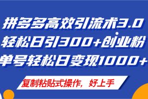 拼多多店铺引流技术3.0，日引300+付费创业粉