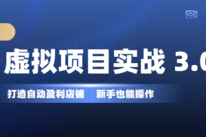 虚拟资源项目玩法实战课程：从入门到精通