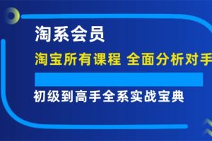 淘系会员，初级到高手全系实战宝典