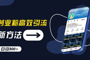 创业粉高效引流，抖音工具号玩法，日引300+
