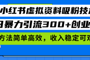小红书虚拟材料引流：月引万粉实战教程，附 AI 技巧与工具资料
