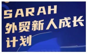 出口外贸新手成长指南：从入门到精通，开启外贸强者之路