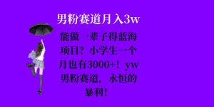 蓝海 yw 男粉赛道，小学生月入 3000+，一辈子的暴利项目等你来！