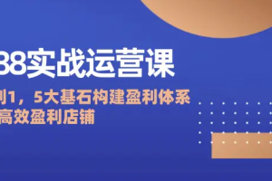 1688实战运营课：从0到1，5大基石构建盈利体系，打造高效盈利店铺