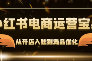 小红书电商运营宝典：从开店入驻到选品优化，一站式解决你的电商难题