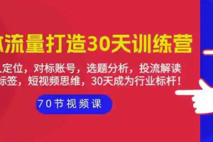 实体-流量打造-30天训练营：个人定位，对标账号，选题分析，投流解读-70节