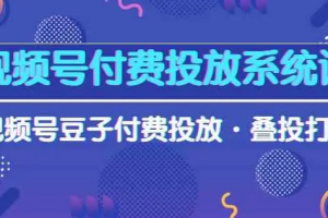 视频号付费投放系统课，视频号豆子付费投放·叠投打法（高清视频课）