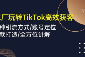 外贸工厂玩转TikTok高效获客，多种引流方式/账号定位/爆款打造/全方位讲解