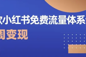 爆款小红书免费流量体系课程，两周变现（20节课）