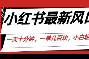 小红书最新风口项目，一天只用10分钟，一单几百块，小白简单无脑操作!