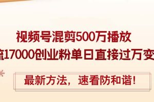 精华帖视频号混剪500万播放引流17000创业粉