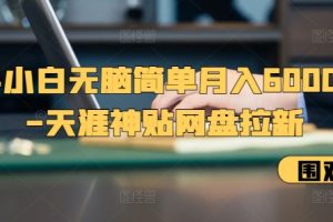 新手小白无脑简单月入6000+的-天涯神贴网盘拉新