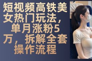 AI 美女项目,快手轻松增粉变现