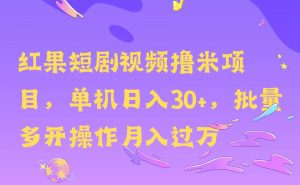 红果短剧剧本撸米，没脑子挂JI新项目，单机版日入30米，可快速复制实际操作