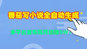 番茄写小说全自动生成，多平合发布每月过W