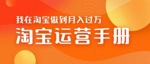 淘宝运营教学手册在淘宝卖这个品可以让你做到日入几张+新手小白轻松上手