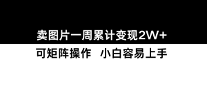 小红书【卖图片】一周累计变现2W+小白易上手